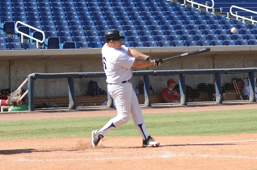 Seals_2017-10-09 (405).jpg - (c)2010 DeVetter